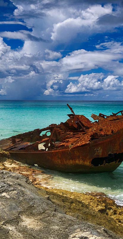 Megan and Brent Wedding